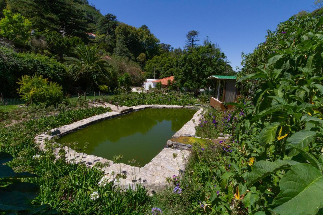 Quinta Das Murtas Sintra Exterior foto